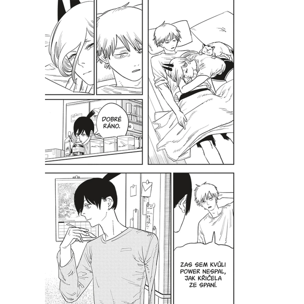 Chainsaw Man 9: Koupel