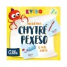 Kvído chytré pexeso - Angličtina: U nás doma