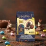 Harry Potter Chocolate Eggs - Cookies (+ Keychain)