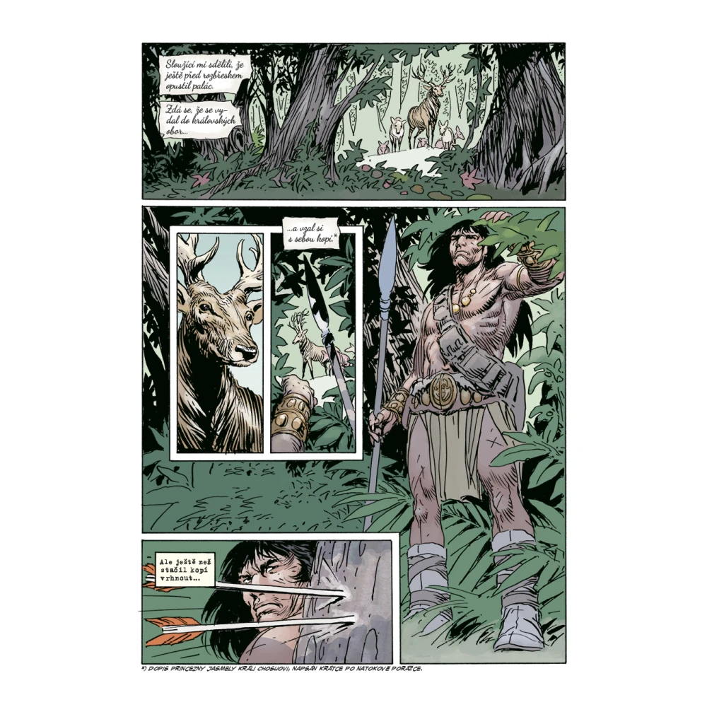 Conan 9: Společenstvo meče
