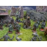 Conquest: First Blood - The Old Dominion Warband