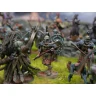 Conquest: First Blood - The Old Dominion Warband