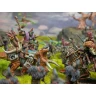 Conquest: First Blood - Wadrhun Warband