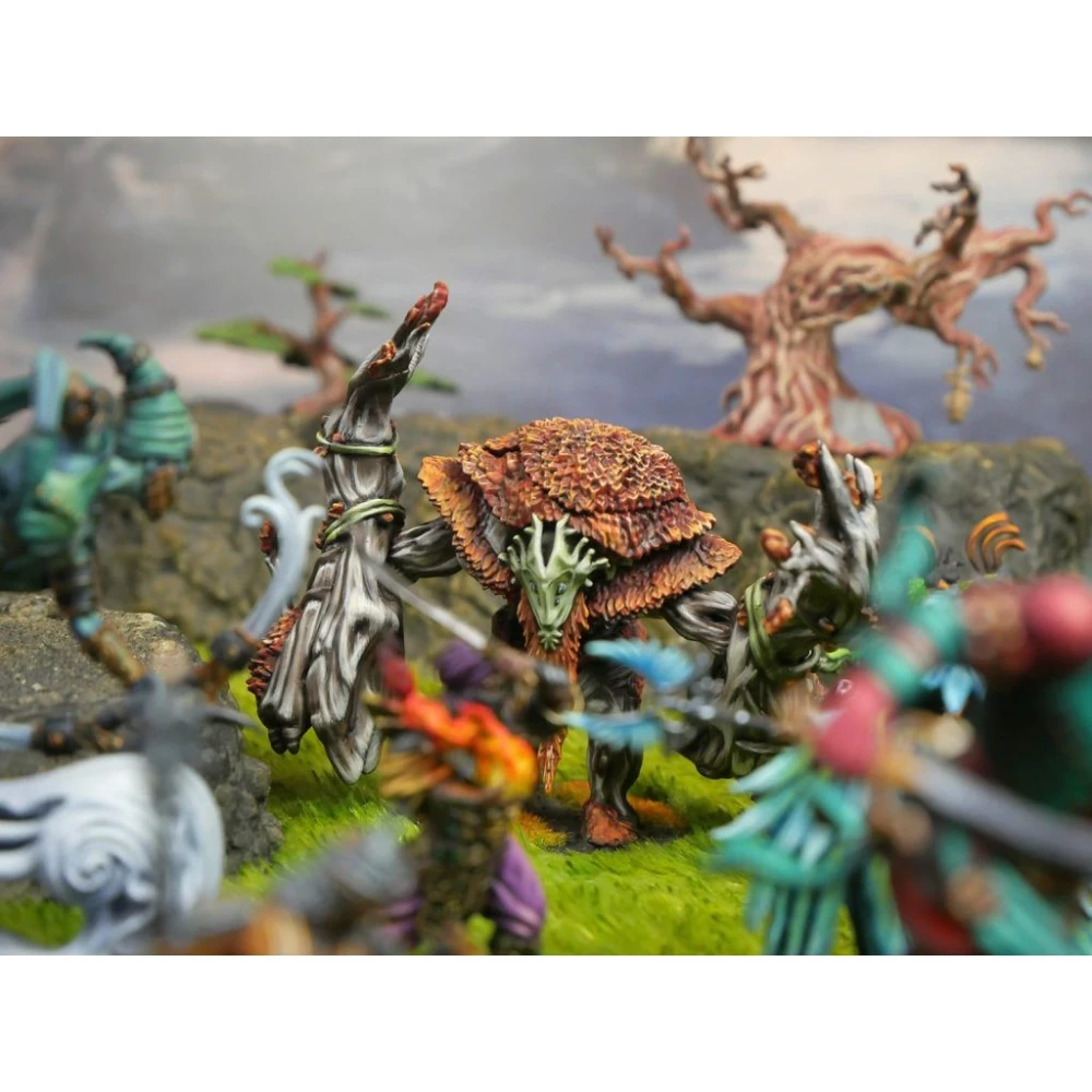 Conquest: First Blood - Weaver Courts Warband