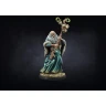 Conquest: Nords - Shaman