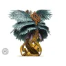 Conquest: Sorcerer Kings: Trinavarta Sabhagrih