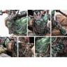 Conquest: Wadrhun - Chieftain Tontorr Rider