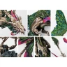 Conquest - Weaver Courts: Coill Draic