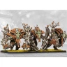 Conquest: Weaver Courts: Crann Guardians