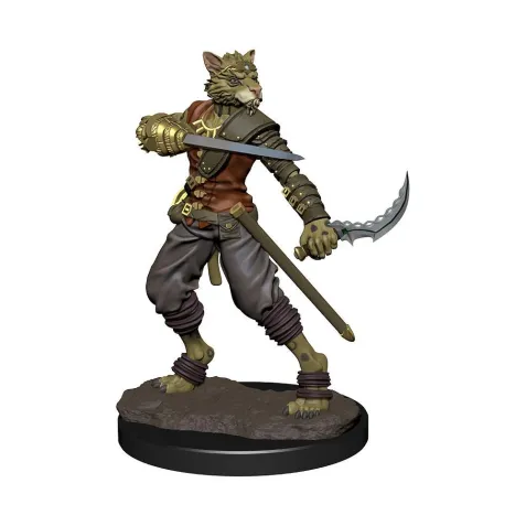 D&D Miniatures: Icons of the Realms - Tabaxi Rogue Male