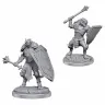 D&D Nolzur's Marvelous Miniatures: Dragonborn Clerics