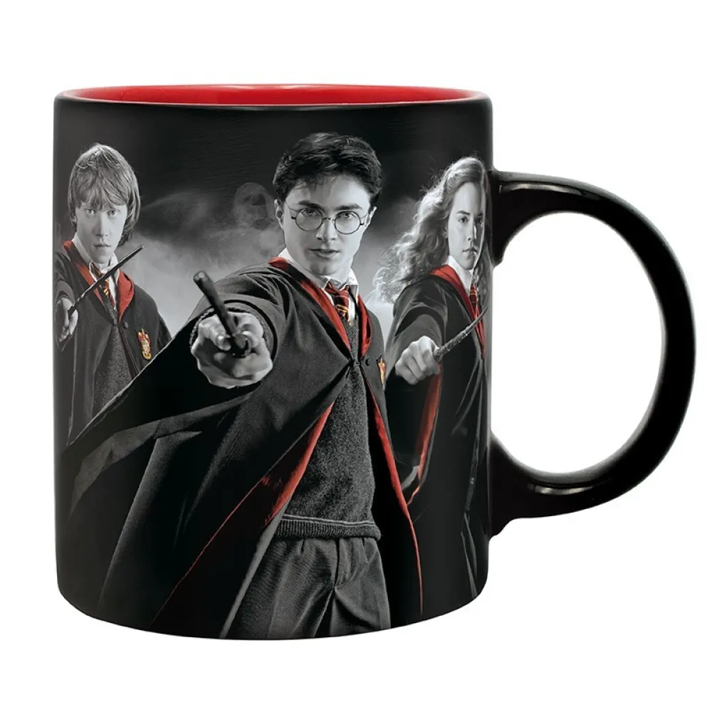 Harry Potter Gift Set - Harry, Ron and Hermione