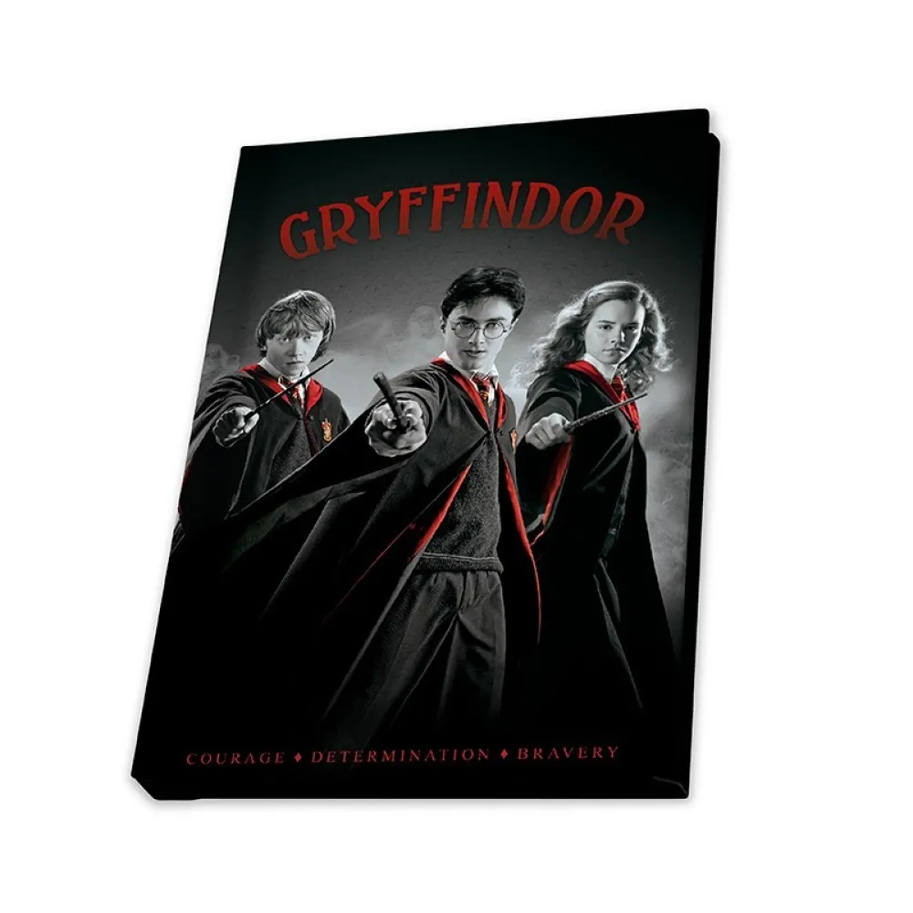 Harry Potter Gift Set - Harry, Ron and Hermione