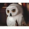Dárková sada Harry Potter - Hedvika Premium