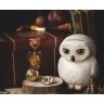 Dárková sada Harry Potter - Hedvika Premium