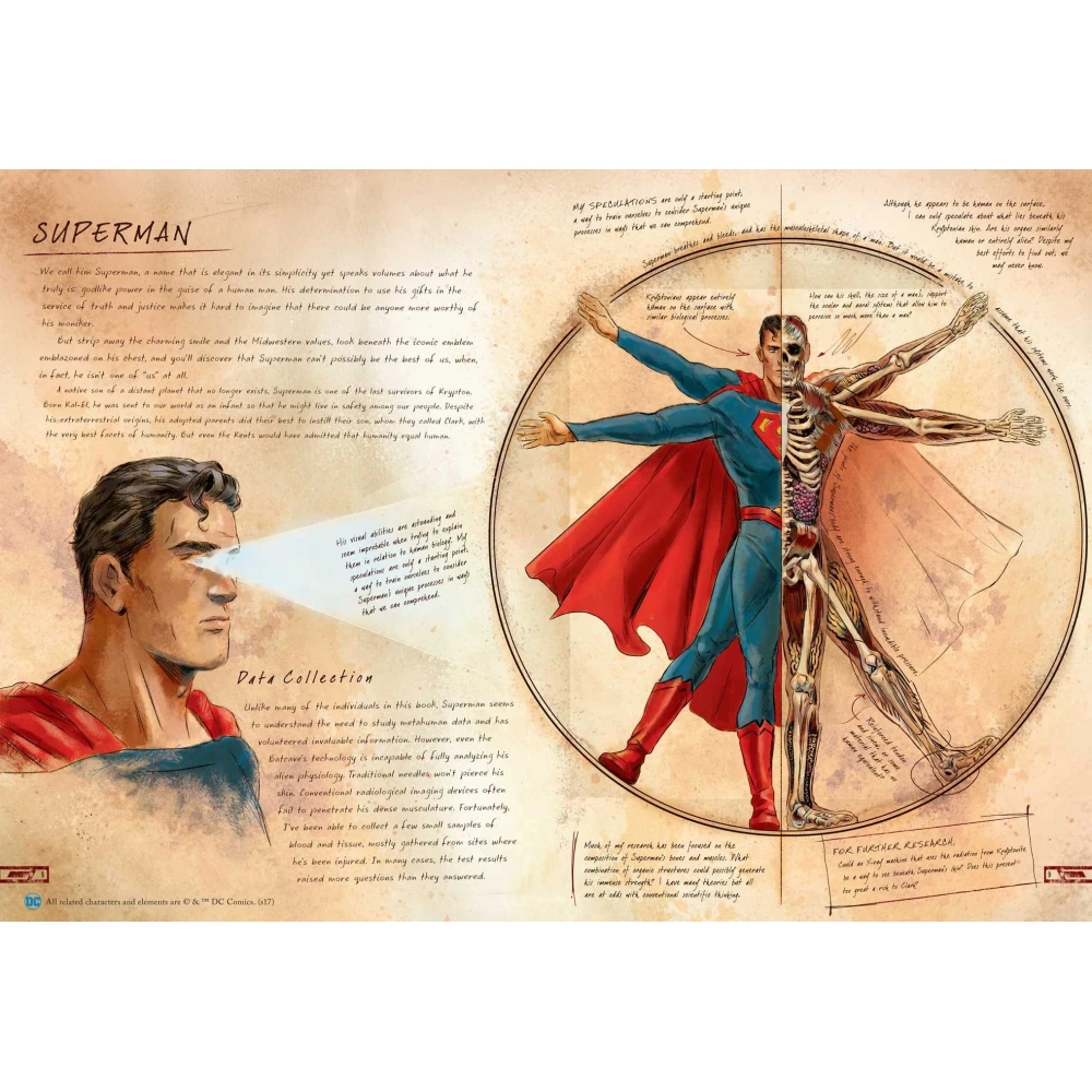 DC Comics : Anatomy of a Metahuman