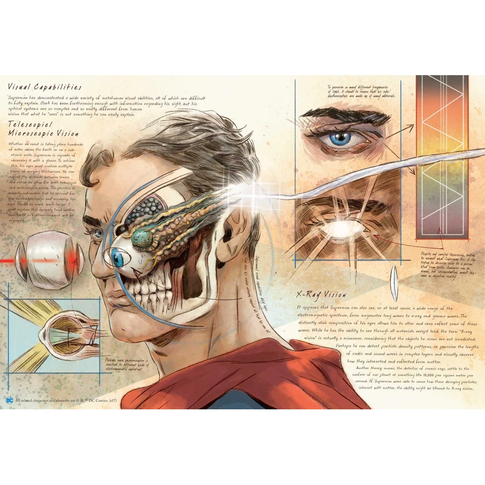 DC Comics : Anatomy of a Metahuman
