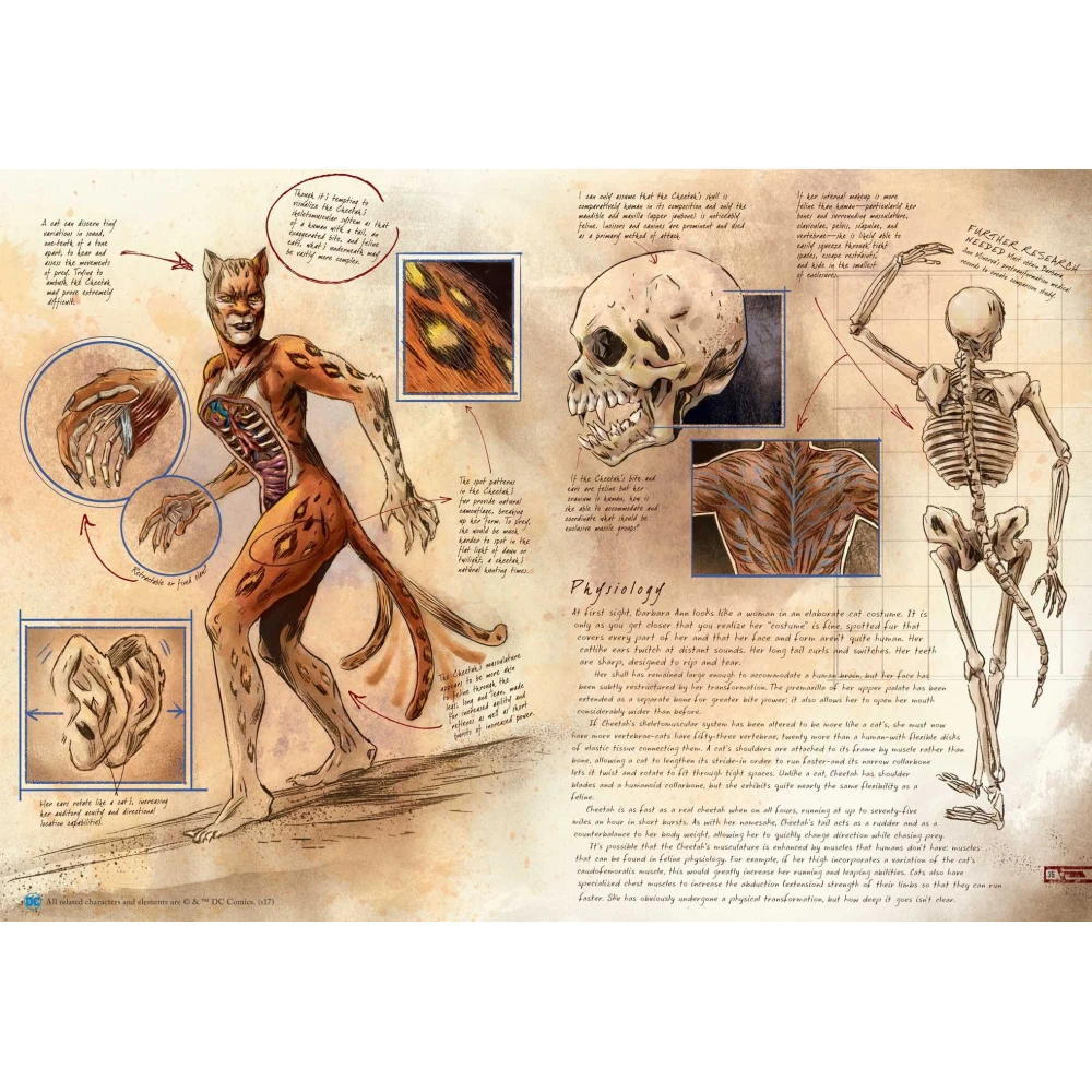 DC Comics : Anatomy of a Metahuman