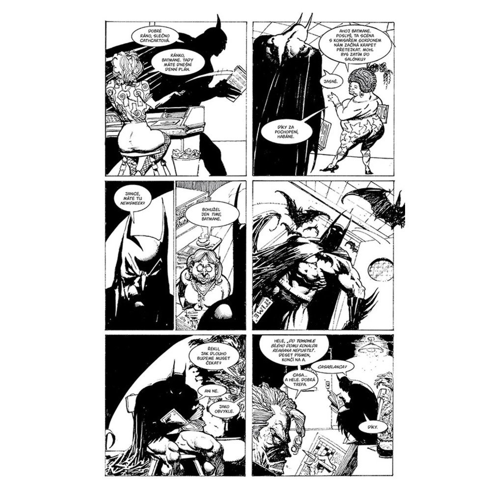 DC světy Neila Gaimana (Legendy DC)