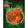 DCC Lankhmar 7: A Dozen Lankhmar Locations (Sourcebook)