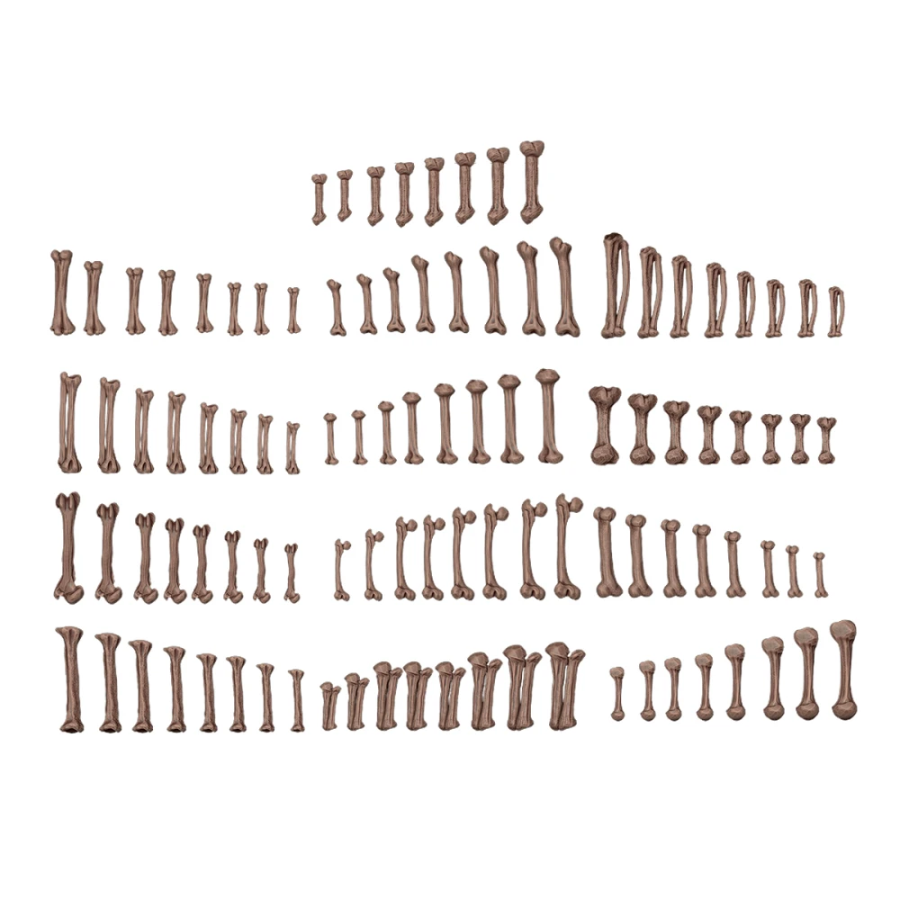 AK Interactive Decoration - Human Bones (120 pcs)