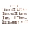 AK Interactive Decoration - Human Bones (120 pcs)