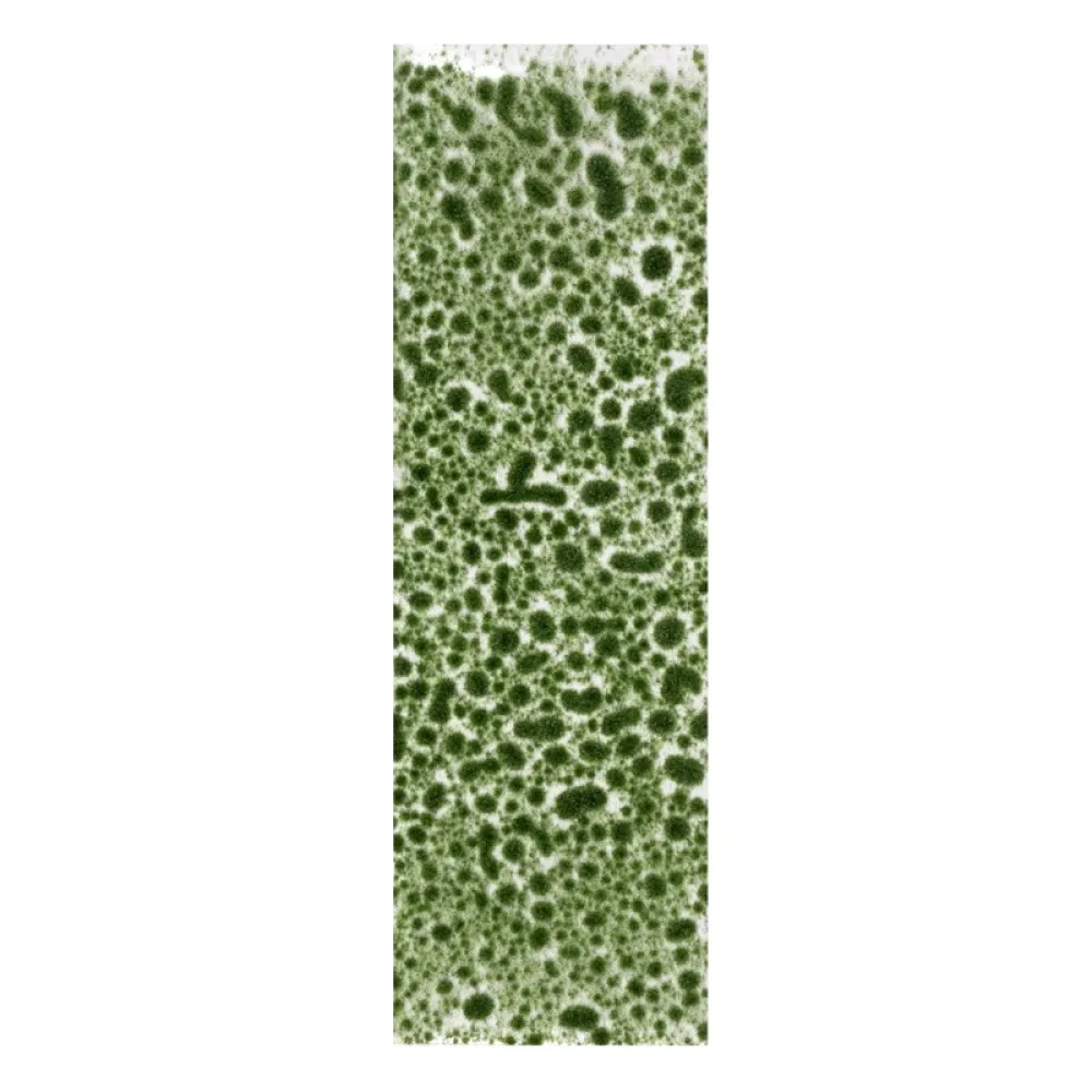 Dekorace AK Interactive - Realistic Green Moss