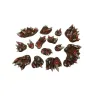 Chaos Basing Kit (14 pcs)