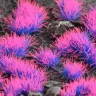 Dekorácia GamersGrass - Alien Neon