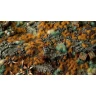 Dekorácia GamersGrass: Copper Brown