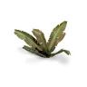 Dekorácia GamersGrass: Laser Plants - Banana Tree