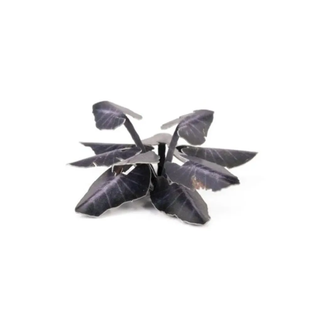 Dekorace GamersGrass: Laser Plants - Black Magic Taro Plants