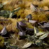 Dekorace GamersGrass: Laser Plants - Black Magic Taro Plants