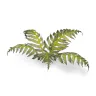 Dekorace GamersGrass: Laser Plants - Bracken