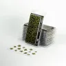 Dekorace GamersGrass: Laser Plants - Dumb Cane