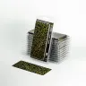 Dekorace GamersGrass: Laser Plants - Dumb Cane