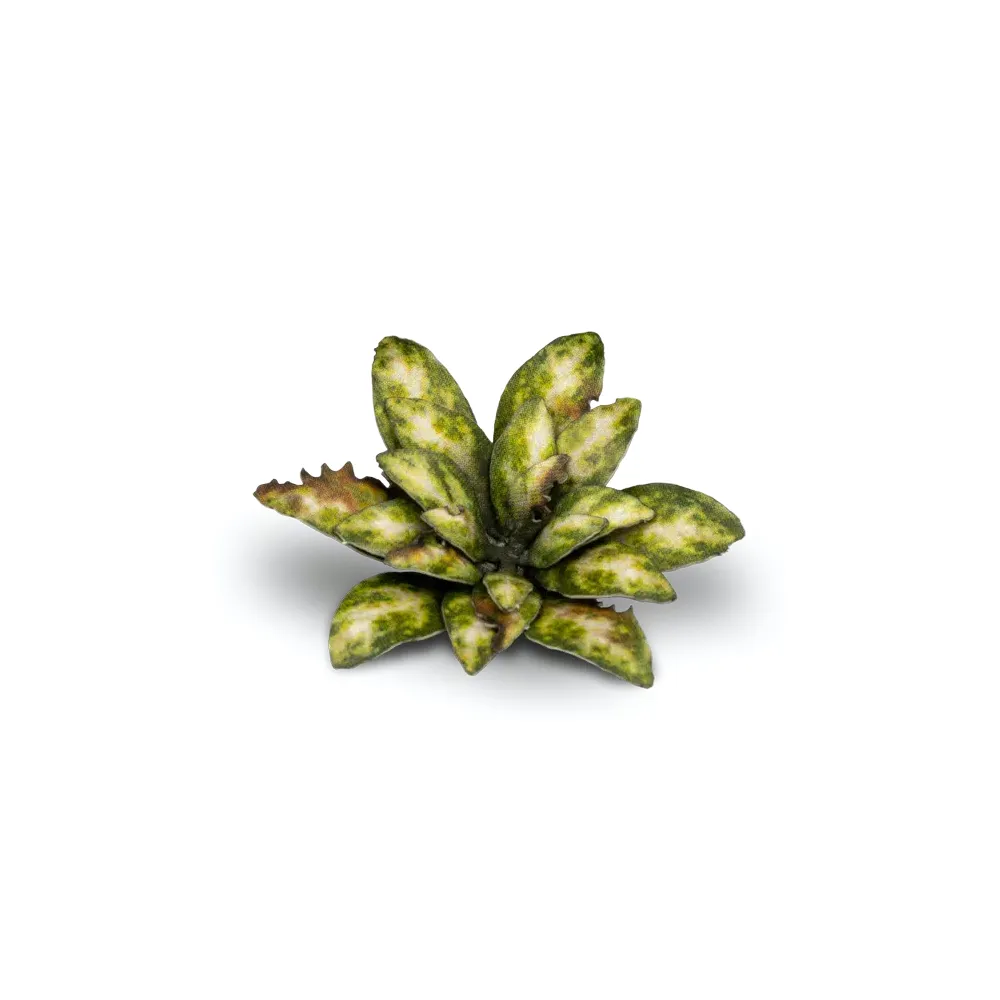 Dekorace GamersGrass: Laser Plants - Dumb Cane