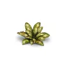 Dekorace GamersGrass: Laser Plants - Dumb Cane