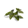 Dekorácia GamersGrass: Laser Plants - Elephant Ear