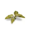 Dekorácia GamersGrass: Laser Plants - Elephant Ear