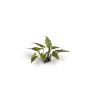 Dekorace GamersGrass: Laser Plants - Lords-and-Ladies