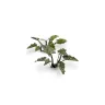 Dekorace GamersGrass: Laser Plants - Lords-and-Ladies