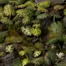 Dekorace GamersGrass: Laser Plants - Monstera