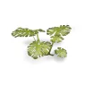 Dekorace GamersGrass: Laser Plants - Monstera