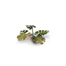 Dekorace GamersGrass: Laser Plants - Monstera