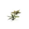 Dekorace GamersGrass: Laser Plants - Plantain Lily