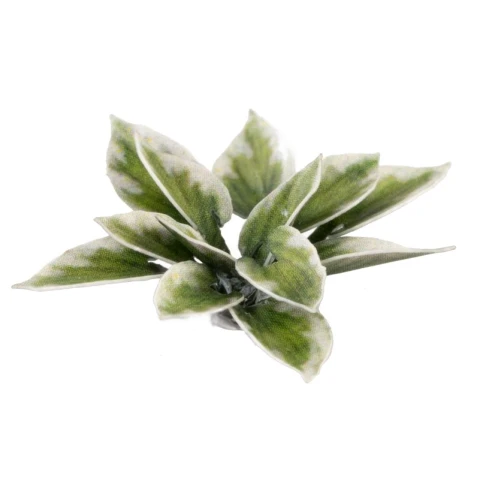 Dekorace GamersGrass: Laser Plants - Plantain Lily