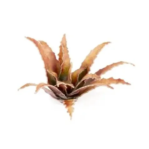 Dekorace GamersGrass: Laser Plants - Red Aloe