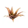 Dekorace GamersGrass: Laser Plants - Red Aloe
