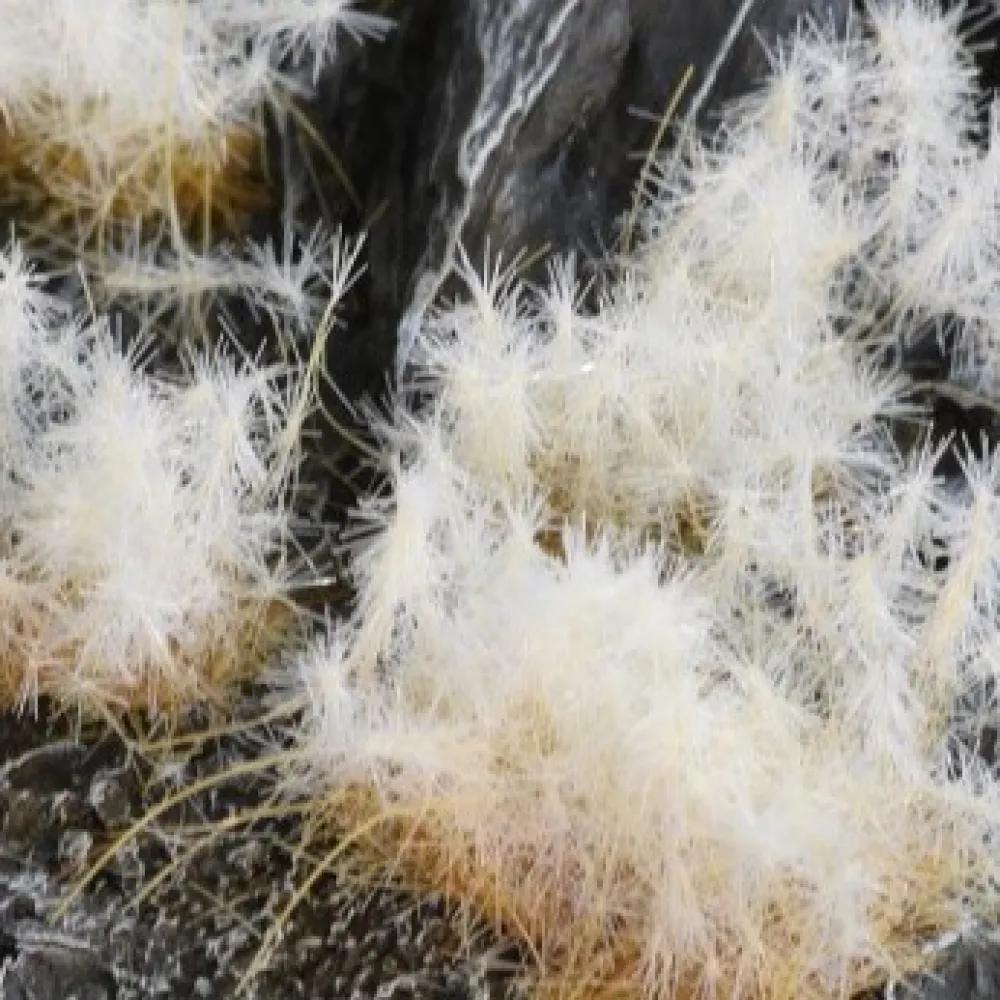 GamersGrass Decoration - Spikey Winter